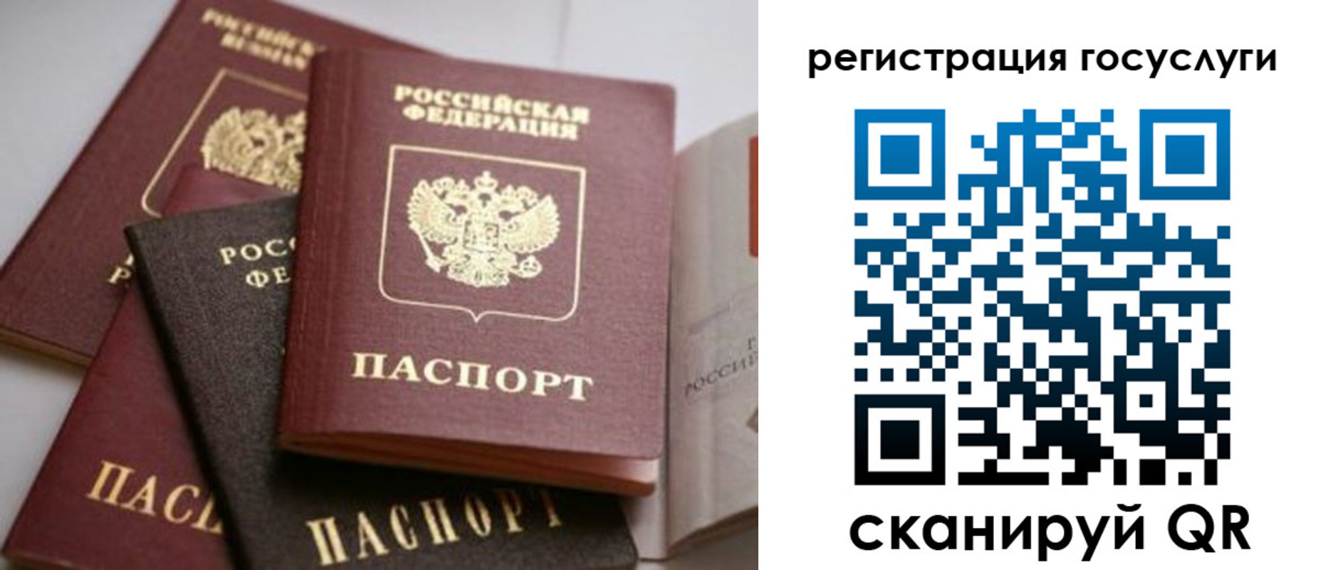 пропишу в квартире в Дальнегорске